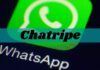 Chatripe.Com 2021: A Spy WhatsApp Working App